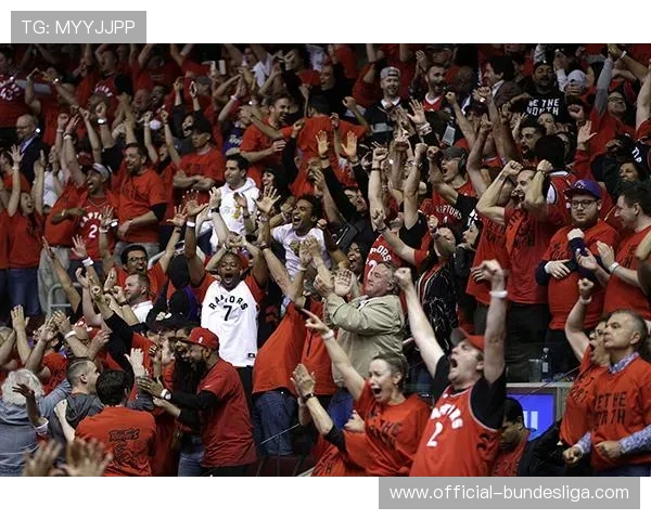 法甲球迷文化多样性调查，移民球员背景影响